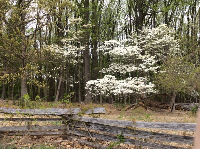 Photo of Valley Forge